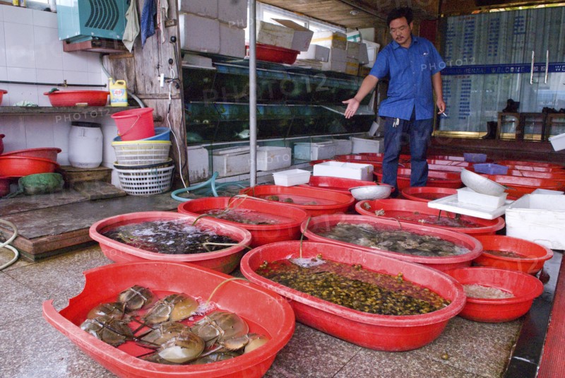 CHINA, Zhejiang , Zhoushan, Seafood restarurant owner showing his selection of King Crabs in foreground