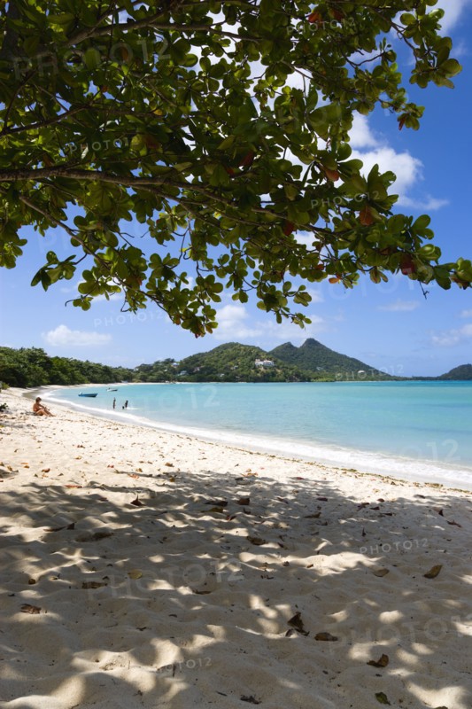 WEST INDIES, Grenada, Carriacou, Waves breaking on Paradise Beach at L'Esterre Bay with the turqoise sea and Point Cistern beyond.