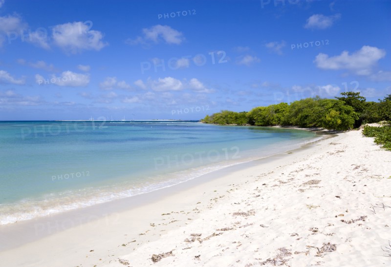 WEST INDIES, Grenada, Carriacou, Waves breaking on Paradise Beach at L'Esterre Bay with the turqoise sea and Sandy Island sand bar beyond.