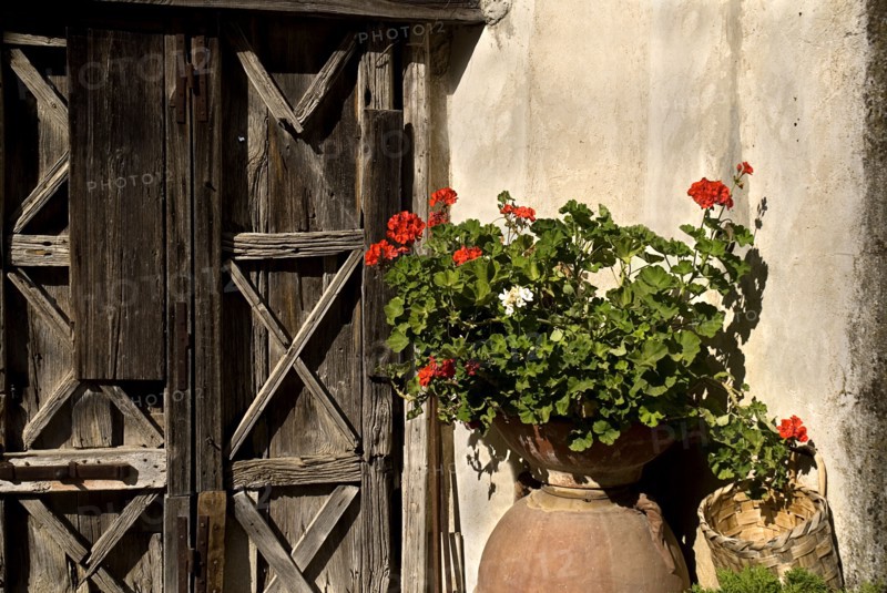 20093649 ITALY Campania Ravello Villa Cimbrone. Urn with flowers at an entrance gate