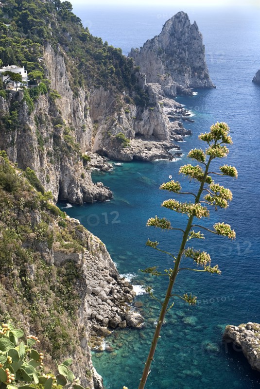 20093661 ITALY Campania Island of Capri Capri Town. View towards Faraglioni Rocks from Augustus Gardens