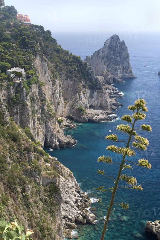 20093662 ITALY Campania Island of Capri Capri Town. View towards Faraglioni Rocks from Augustus Gardens