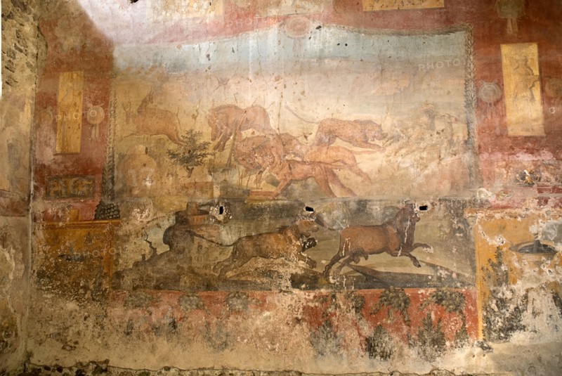 20093698 ITALY Campania Pompeii Main fresco in the House of the Ceii