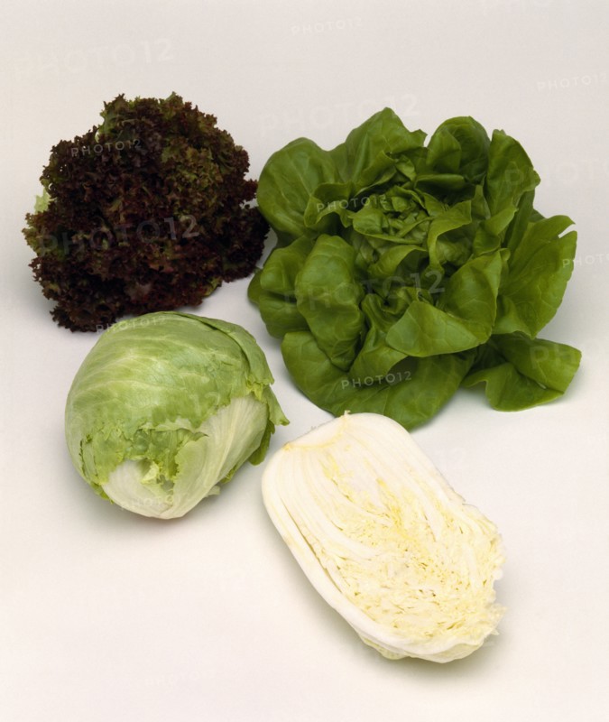 FOOD, Vegetable, Lettuces