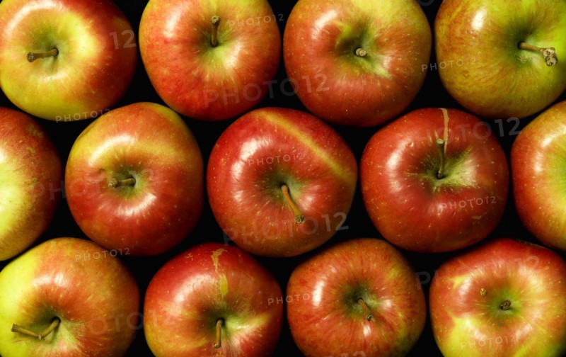 FOOD, Citrus, Fruit, An overhead view down onto a group of red apples