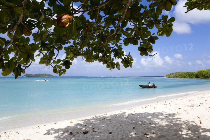 WEST INDIES, Grenada, Carriacou, The calm clear blue water breaking on Paradise Beach in L'Esterre Bay with Mabouya Island and Sandy Island on the horizon and people in boats in the water. A single tree gives shade on the beach