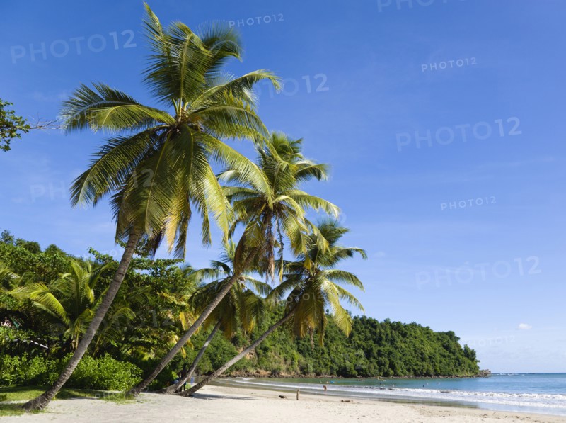 WEST INDIES, Grenada, St David, Coconut palm tree lined beach of La Sagesse with people playing on the sand and swimming in the sea