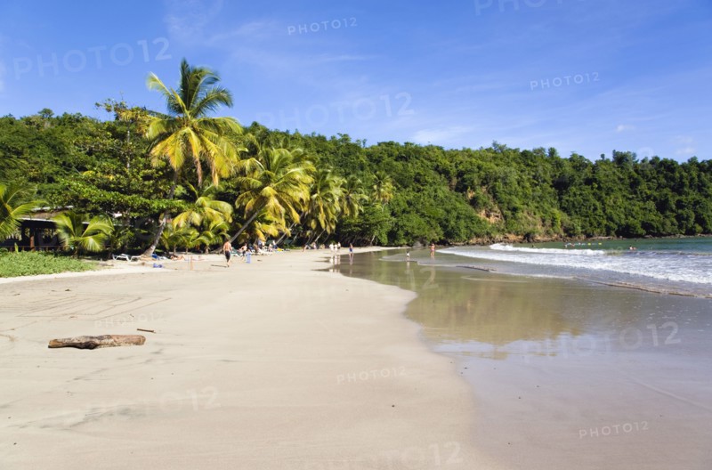 WEST INDIES, Grenada, St David, Coconut palm tree lined beach of La Sagesse with people playing on the sand and swimming in the sea