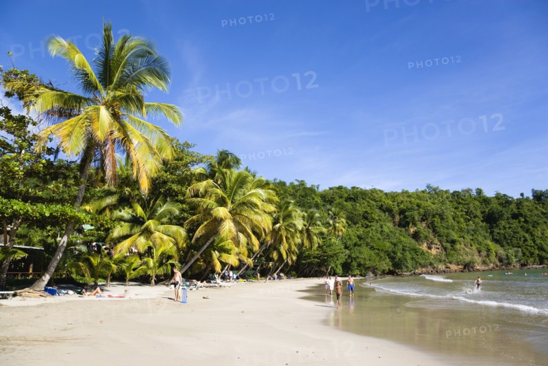 WEST INDIES, Grenada, St David, Coconut palm tree lined beach of La Sagesse with people playing on the sand and swimming in the sea