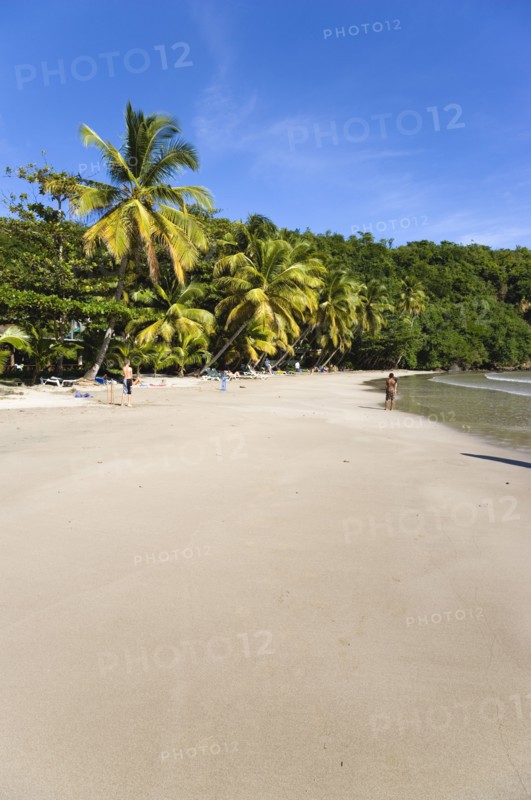 WEST INDIES, Grenada, St David, Coconut palm tree lined beach of La Sagesse with people playing on the sand