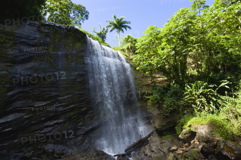 WEST INDIES, Grenada, St Andrew, Water cascading down the Royal Mount Carmell Waterfall surrounded by lush green vegetation