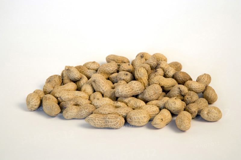 FOOD, Nuts, Groundnuts, Peanuts in kernels on a white background