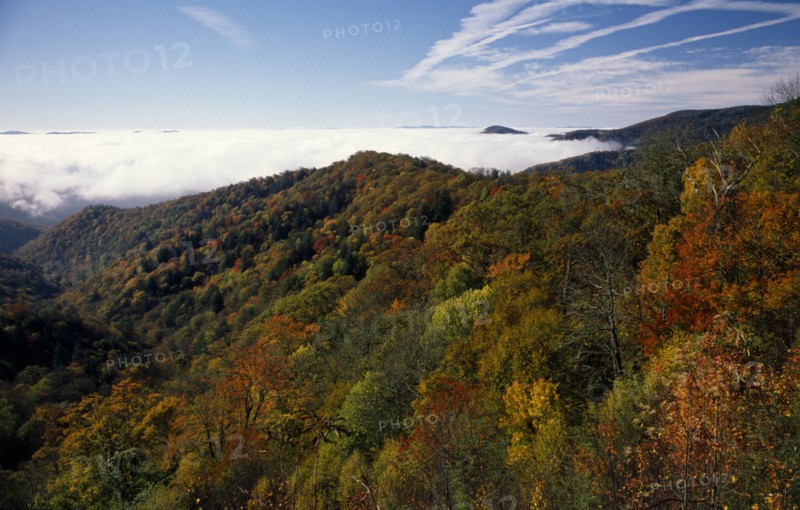 USA, North Carolina, Smoky Mountain , Great Smoky Mountain National Park. View across tree tops in autumn colours.
