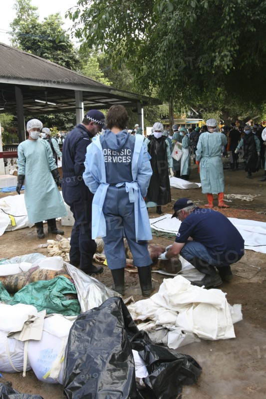 THAILAND, Phang Nga District, Takua PA, "Tsunami. Australian forensic team. Volunteers try to cool off victims of Tsunami with dry ice blocks in the outdoor morgue where 100's of corpses are being stored without refridgeration , awaiting DNA identification. At a temple wat Yan Yao 130kms north of Phuket on the 31st Dec."