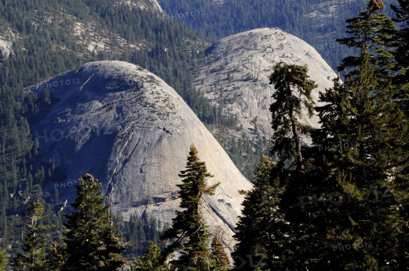 USA, California, Yosemite NP, North Dome & pines from Glacier Point