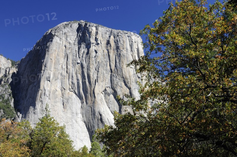 USA, California, Yosemite NP, El Capitan mountain from Valley floor