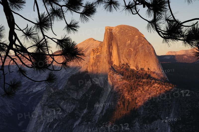 USA, California, Yosemite NP, Half Dome at sunset with pine branch silhouette
