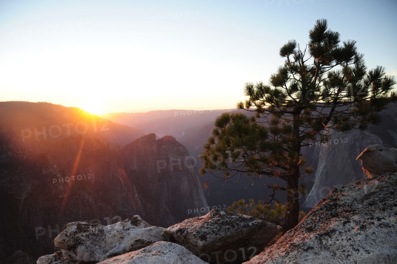 USA, California, Yosemite NP, Sunset from Taft Point with pine tree