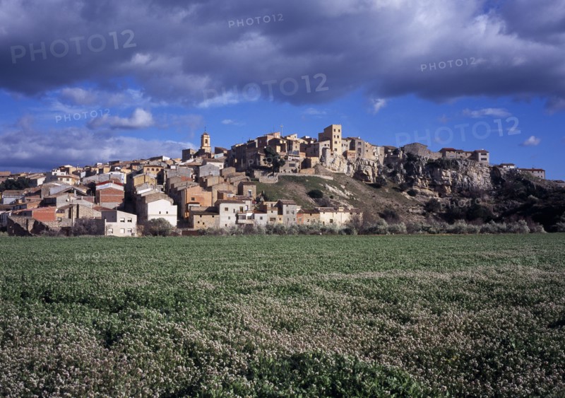SPAIN, Catalonia, Tarragona, El Pinell de Brai. Hilltop village seen from field of flowers below