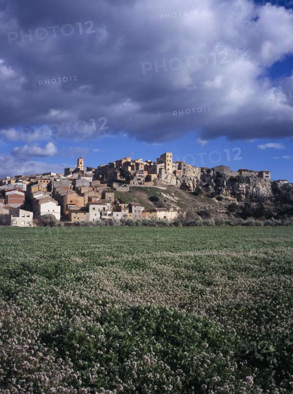 SPAIN, Catalonia, Tarragona, El Pinell de Brai. Hilltop village seen from field of flowers below