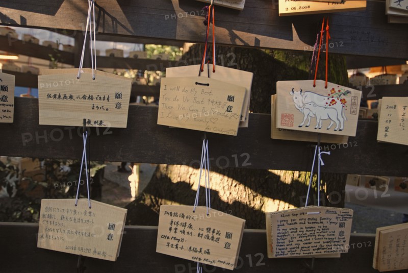 JAPAN, Honshu, Tokyo, "Jingumae - at Meijijingu shrine, ema wooden cards with New Years resolutions and wishes written on them, some in English, decorated with year of cow"