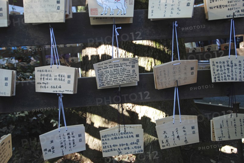 JAPAN, Honshu, Tokyo, "Jingumae - at Meijijingu shrine, ema wooden cards with New Years resolutions and wishes written on them, some in English, decorated with year of cow"