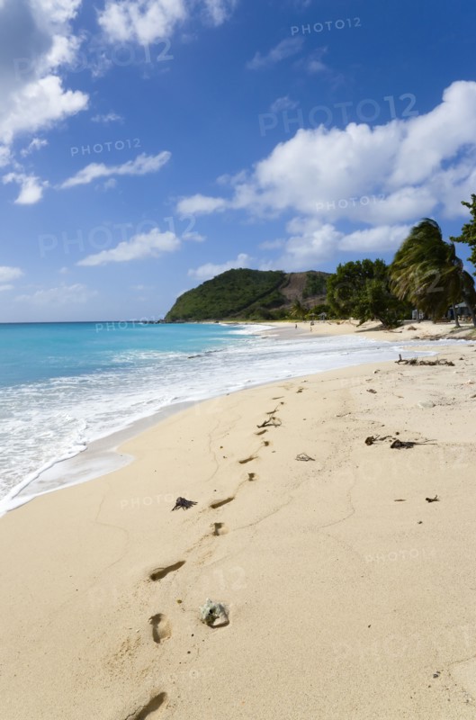 WEST INDIES, St Vincent & The Grenadines, Canouan, South Glossy Beach in Glossy bay with footprints in the sand and waves from the turqoise sea breaking on the shore.