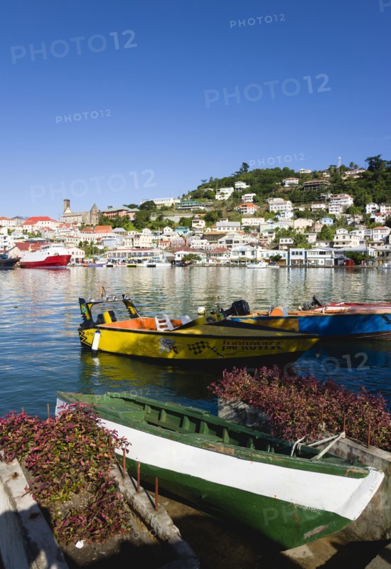 WEST INDIES, Grenada, St Georges, The Carenage harbour in the capital with houses lining the hillside and water taxis moored.