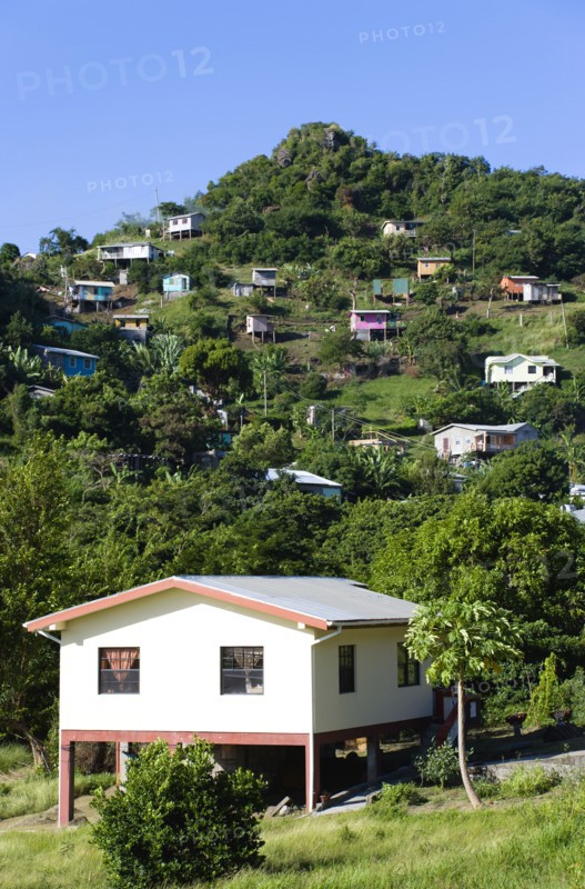 WEST INDIES, Grenada, St George, Houses built on stilts lining a hillside.