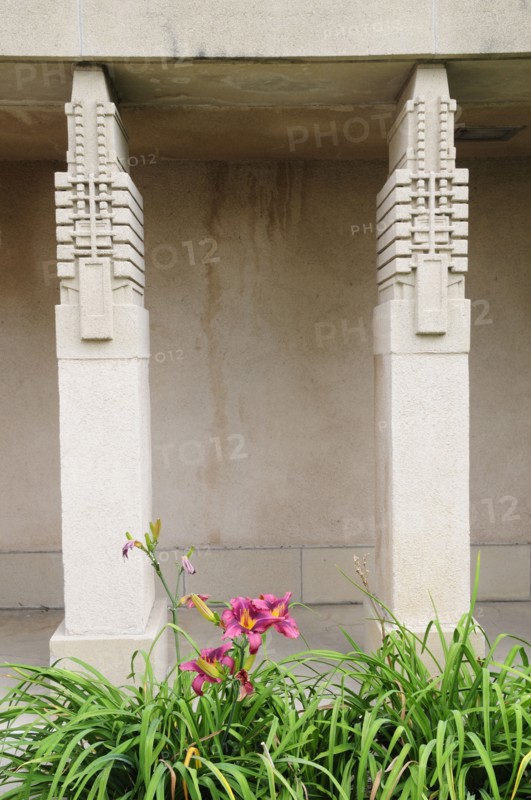 USA, California, Los Angeles, Hollyhock detail on exterior of Hollyhock House