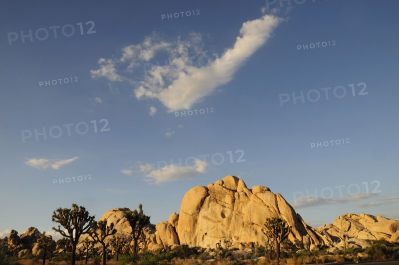 USA, California, Joshua Tree National Park, "Hidden Valley, Joshua Tree National Park"