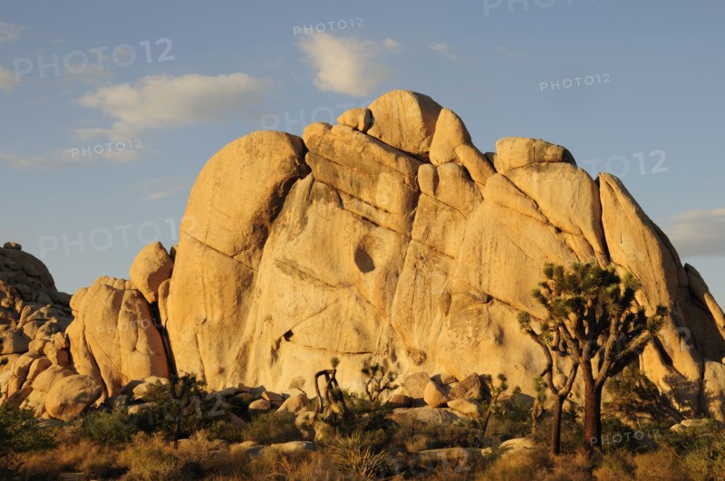 USA, California, Joshua Tree National Park, "Hidden Valley legendary cattle rustler's hideout, Joshua Tree National Park"