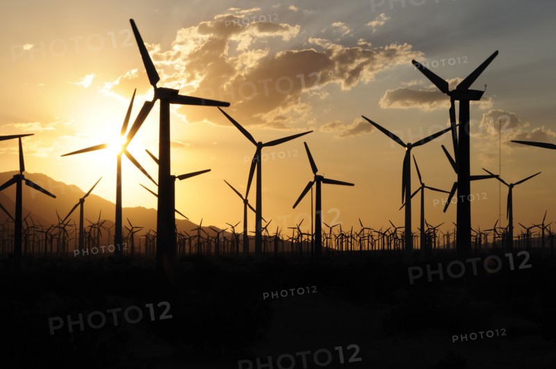 USA, California, Palm Springs, "Windmills, San Gorgonio Pass, Palm Springs. Wind turbine electricity generators."