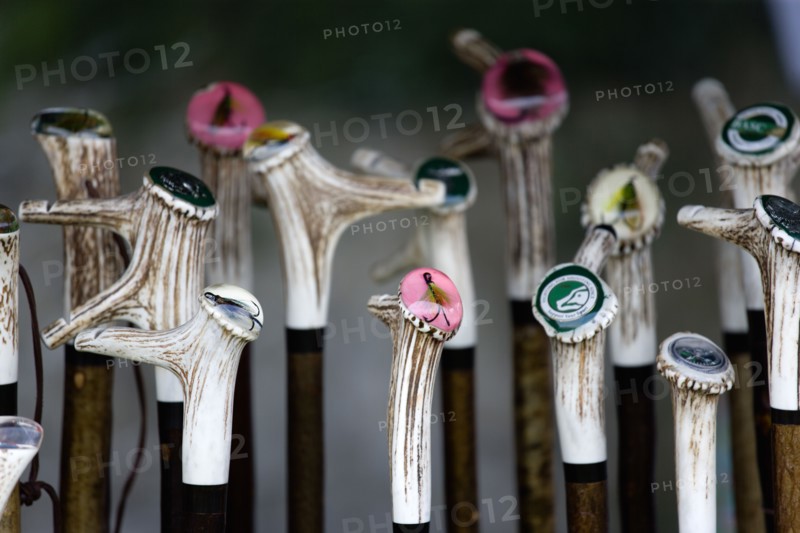 ENGLAND, West Sussex, Findon, Findon village Sheep Fair Display of bone handled walking sticks with fly fishing hooks set into acrylic on the handles.