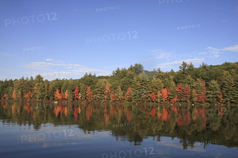 USA, New Hampshire, "Marlborough,", Autumn foliage on Meetinghouse Pond.