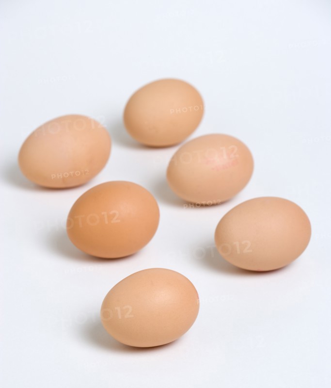 FOOD, Uncooked, Eggs, Six free range eggs on a white background.