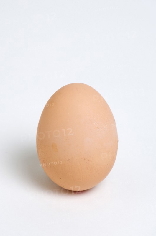 FOOD, Uncooked, Eggs, One hard boiled free range egg on a white background.
