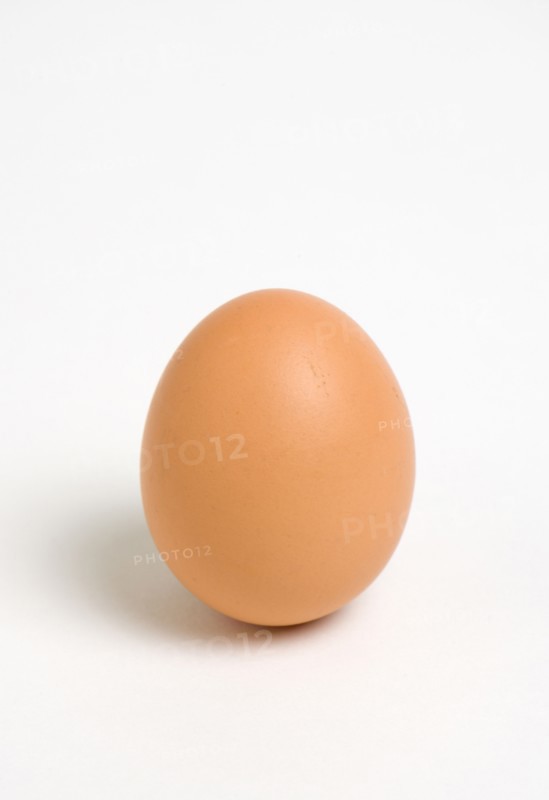 FOOD, Uncooked, Eggs, One hard boiled free range egg on a white background.