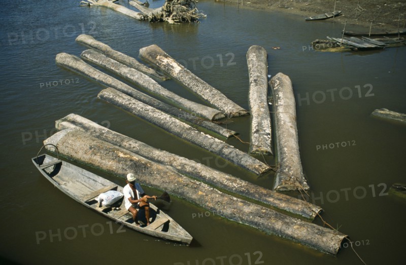 Brazil, Amazonas, Amatura, Floating logs down river.
