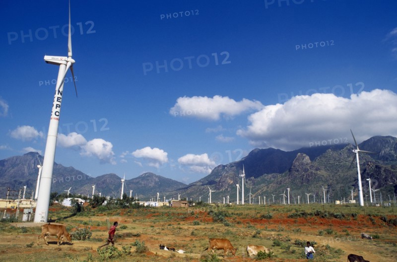 India, Tamil Nadu, Environment, Wind farm with multiple generators, Two men with cattle and goats in foreground.