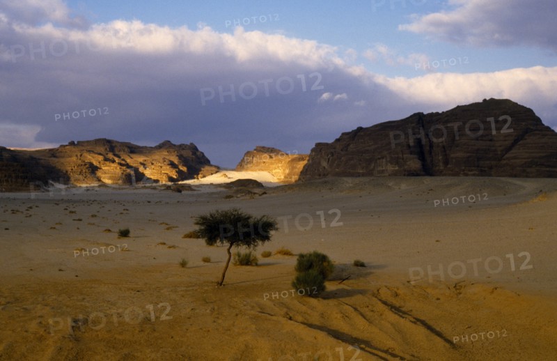 Egypt, Sinai Desert, St Catherineís Monastery, View over desert landscape from the Nuweiba Road towards the monastery in the distance.