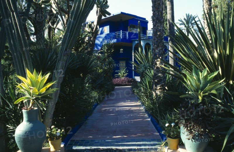 MOROCCO, Marrakesh, Jardin Marjorelle known as the residence of Yves Saint-Laurent, view along plant lined path to the house.
