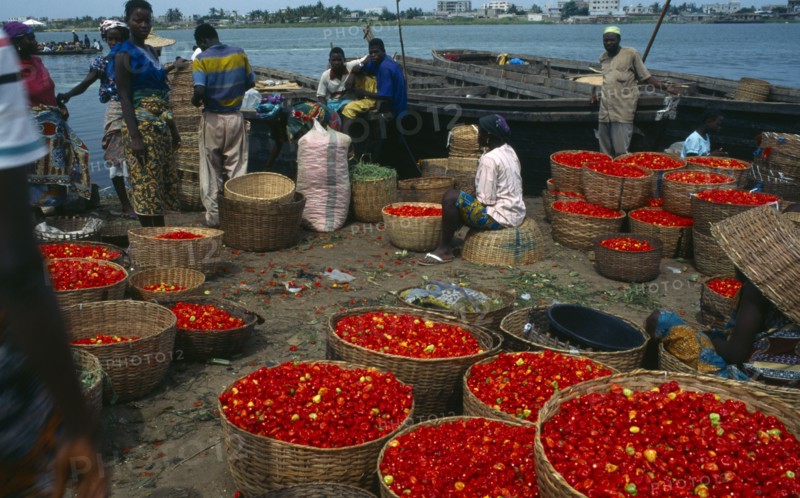BENIN, Cotonou, Grand Marche de Dantokpa at the waters edge.  Baskets of red peppers, people and wooden boats moored behind.