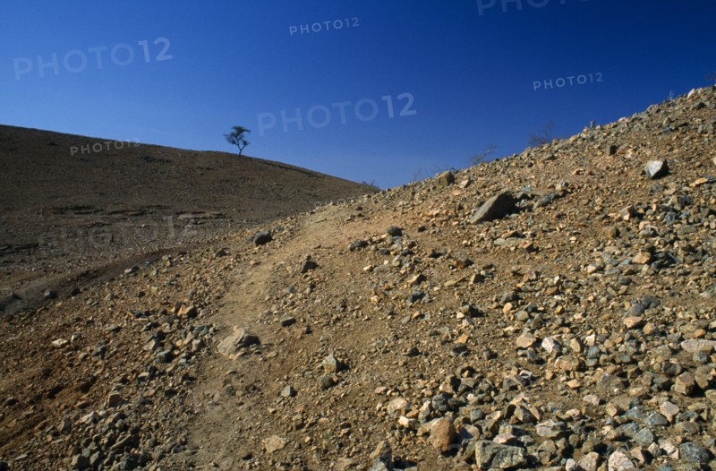 Eritrea, Barentu, Area of deforestation.