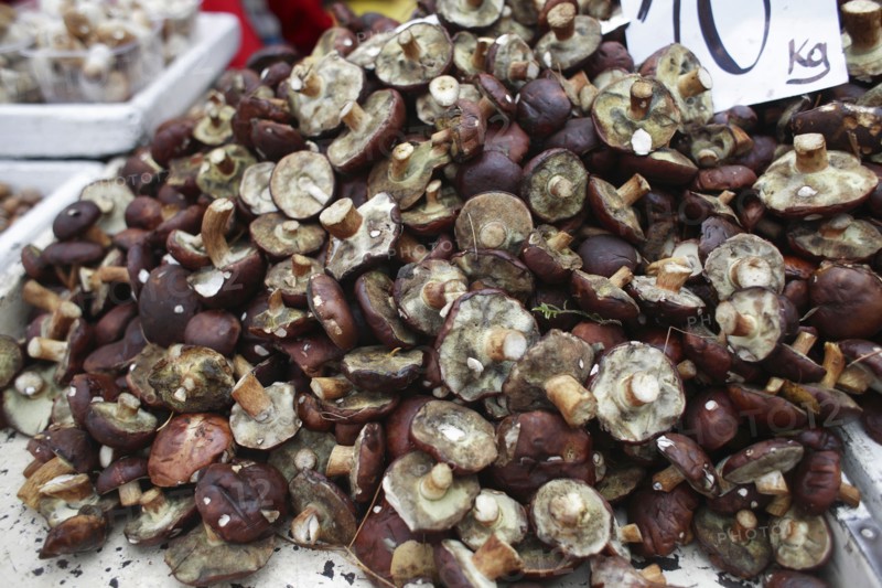 Poland, Krakow, display of mushrooms and other fungi in Stary Kleparz market.