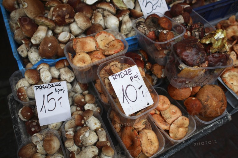 Poland, Krakow, display of mushrooms and other fungi in Stary Kleparz market.