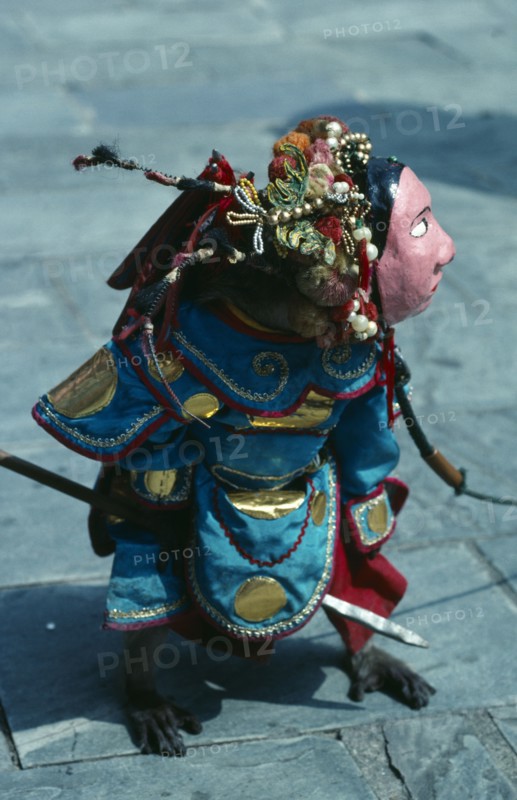 China, Hong Kong, New Territories, Performing monkey dressed in elaborate costume and mask.
