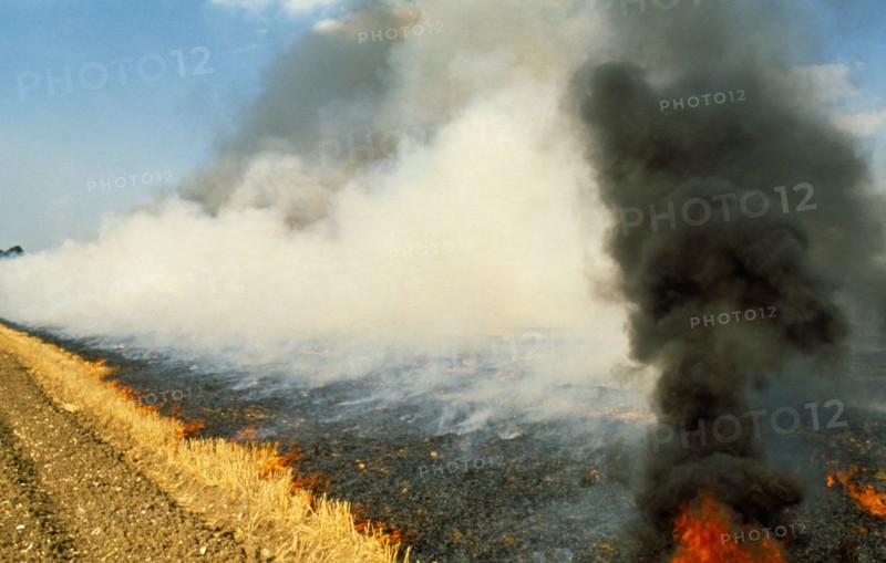 England, Hampshire, Environment, Burning stubble after harvest, now illegal practice.
