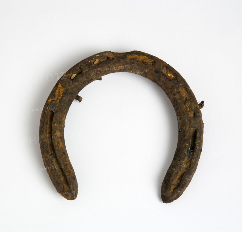 Animals, Mammals, Horses, Rusty old horsehoe on a white background.