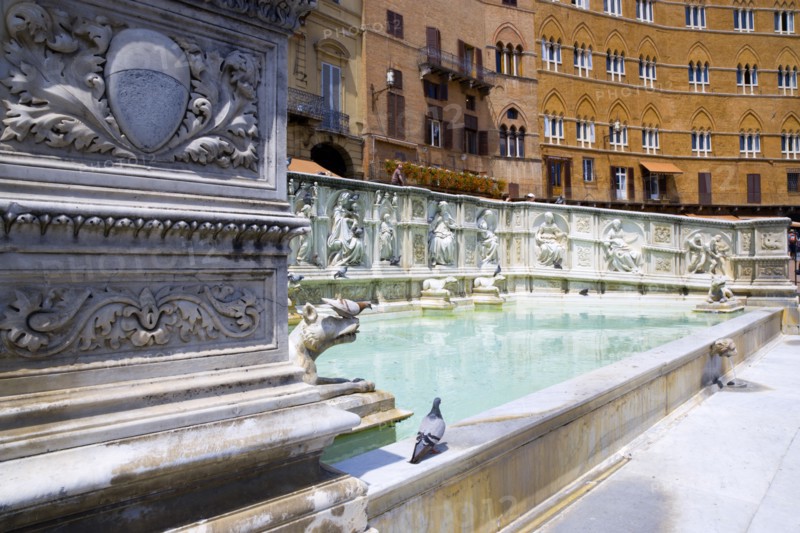 ITALY, Tuscany, Siena, The 19th Century replica of the 15th Century white marble Fonte Gaia fountain by the artist Jacopo della Quercia in the Piazza del Campo.
